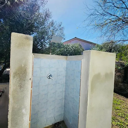 Casa Salix *